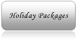 Holiday Party Packages